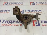 Кулак поворотный передний левый Skoda Rapid 6Q0407255S