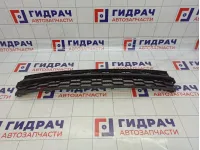 Решетка в бампер центральная Skoda Rapid (NH3) 60U8536779B9