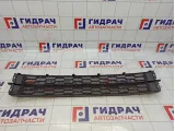 Решетка в бампер центральная Skoda Rapid (NH3) 60U8536779B9