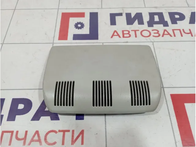 Накладка потолка Skoda Rapid (NH3) 1Z0877829B