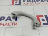Ручка внутренняя потолочная Skoda Rapid (NH3) 5L6857607MY20
