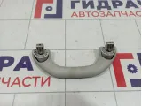 Ручка внутренняя потолочная Skoda Rapid (NH3) 5L6857607MY20