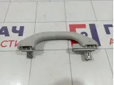 Ручка внутренняя потолочная Skoda Rapid (NH3) 5L6857607NY20