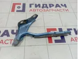Петля капота правая Skoda Rapid (NH3) 5JA823302A