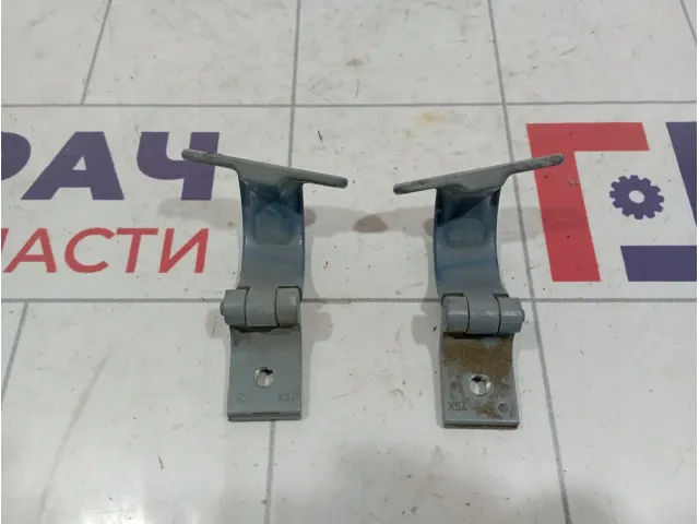 Петли двери багажника Skoda Rapid (NH3)