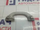 Ручка внутренняя потолочная Skoda Rapid (NH3) 5L6857607NY20