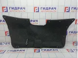 Обшивка двери багажника Skoda Rapid (NH3) 5JA867975A.