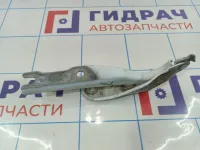 Петля капота левая Skoda Rapid (NH3) 5JA823301A.