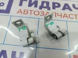 Петли двери задней левой Skoda Rapid (NH3) .