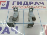 Петли двери передней правой Skoda Rapid (NH3) .