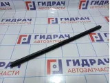 Уплотнитель стекла двери задней левой Skoda Rapid (NH3) 5JA839479B.