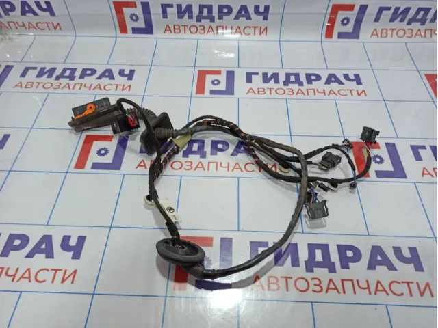 Проводка двери передней левой Skoda Rapid (NH3) 5JH971120FB.