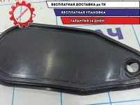 Заглушка двери задней левой Skoda Rapid 5JA839915.