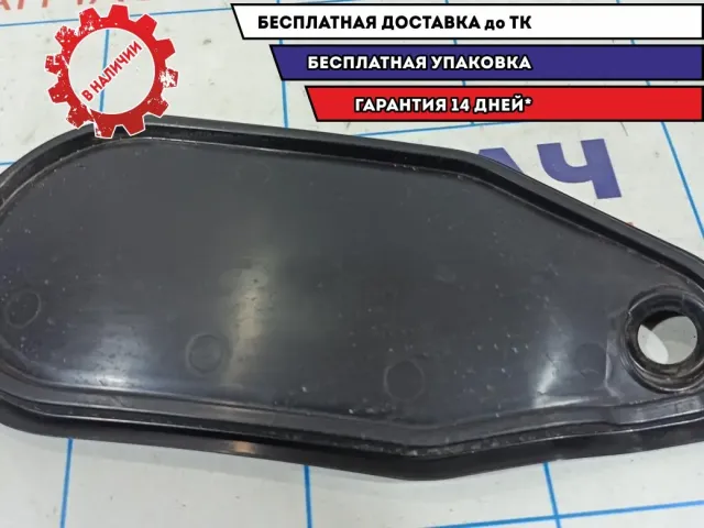 Заглушка двери задней левой Skoda Rapid 5JA839915.