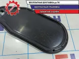 Заглушка двери задней правой Skoda Rapid 5JA839916.