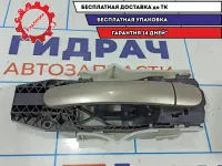 Ручка двери Skoda Rapid 5N0839885H.