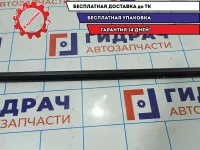 Уплотнитель стекла двери заднего правого Skoda Rapid 5JA839479B.