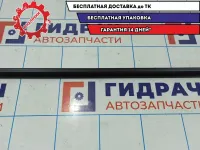 Уплотнитель стекла двери заднего левого Skoda Rapid 5JA839479B.