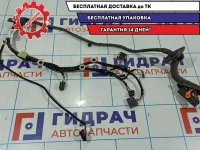 Проводка двери передней левой Skoda Rapid 5JH971120LM.