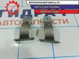 Петли двери багажника Skoda Rapid . Комплект.