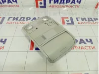Плафон салонный Skoda Superb (3T) 3T0947105AQD