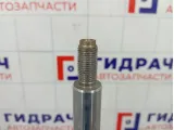 Амортизатор передний Skoda Superb (3T) 3C0413031BA