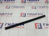 Уплотнитель стекла двери задний левый Skoda Superb (3T) 3T5839479