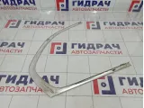 Молдинг двери задней левой Skoda Superb (3T)