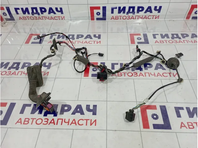 Проводка двери задней правой Skoda Superb (3T) 3T0971162F