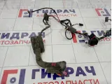 Проводка двери задней правой Skoda Superb (3T) 3T0971162F