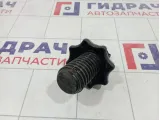 Болт крепления запасного колеса Skoda Superb (3T) 1K0803899D