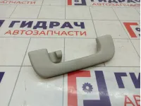 Ручка внутренняя потолочная Skoda Superb (3T)