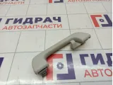 Ручка внутренняя потолочная Skoda Superb (3T)
