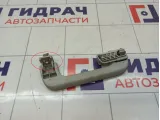 Ручка внутренняя потолочная Skoda Superb (3T)