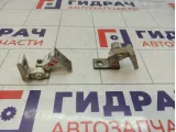 Петли двери передней правой Skoda Superb (3T)