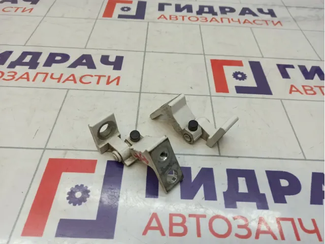 Петли двери задней правой Skoda Superb (3T)