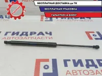 Амортизатор крышки багажника Skoda Superb 2 3T5827552.