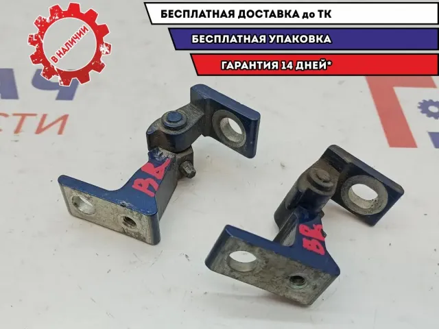 Петли двери задней правой Skoda Superb 2 .