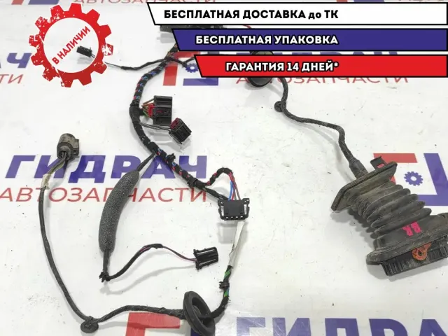 Проводка двери задней правой Skoda Superb 2 3T0971162F.