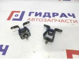 Петли двери багажника Skoda Superb 2 . Пара.