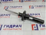 Амортизатор передний Skoda Superb 3C0413031BA