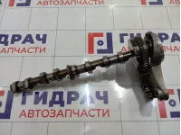 Распредвал впускной Skoda Superb 06H109021J