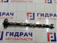 Распредвал выпускной Skoda Superb 06H109022BA