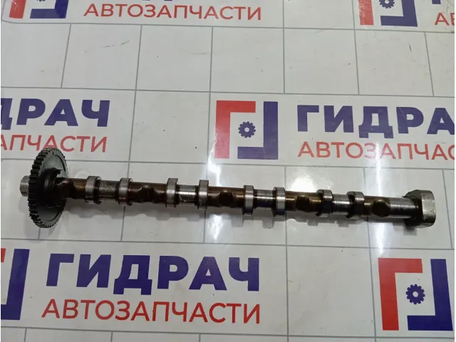 Распредвал выпускной Skoda Superb 06H109022BA