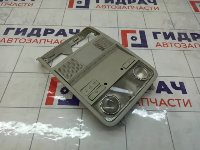 Плафон салонный Skoda Superb 3T0947105AQD