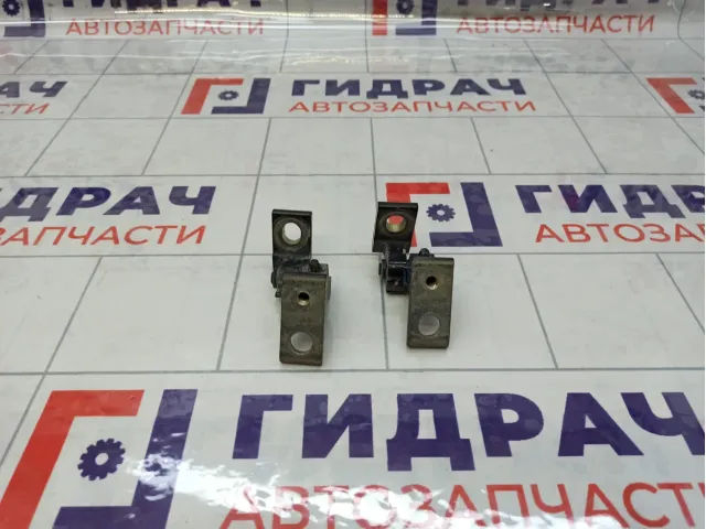 Петли двери передней правой Skoda Superb
