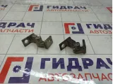 Петли двери передней правой Skoda Superb