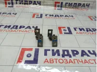Петли двери задней правой Skoda Superb