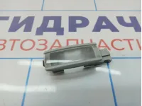 Плафон салонный Skoda Superb (3T) 1K0947109Y20