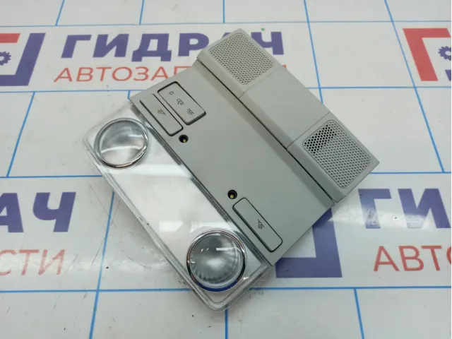 Плафон салонный Skoda Superb (3T) 3T0947105AQD
